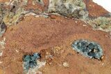 Lustrous Blue Scorodite Crystals on Matrix - Ojuela Mine, Mexico #219835-1